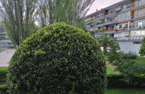 San Antonio Condo | Apartment with rooms 25 min from Madrid.
