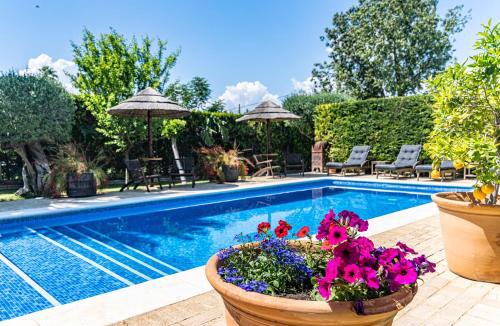 Espartinas Bed & Breakfast | B&B Casa Adelante Sevilla