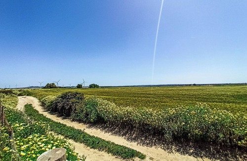 Chiclana de la Frontera Cabin | Beautiful wooden cabin.