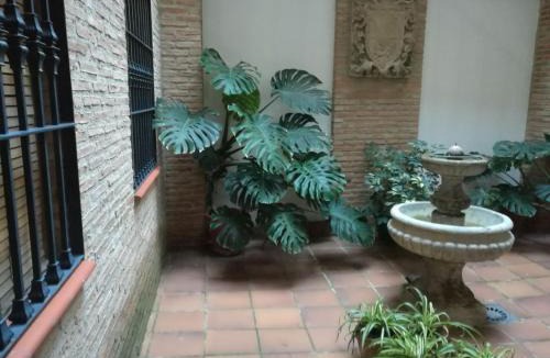 Jaen Apartment | Bernardo López con opción a parking