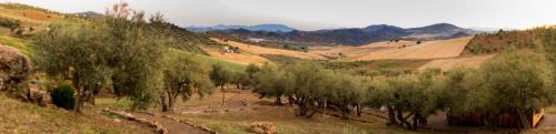 Comarca de Antequera House | Biznaga
