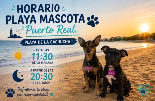 Puerto Real Apartment | Cadizz Apartamento Bahía Urbana Alameda