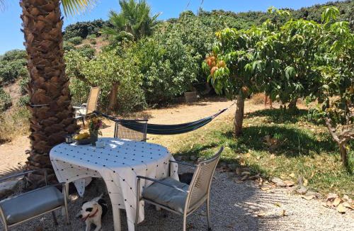 Almayate Bajo Other | Caravan in Finca Molino in Almayate with Pool, Sea Views, Family Family Touch & Dog Madness