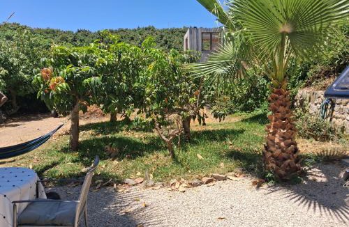 Almayate Bajo Other | Caravan in Finca Molino in Almayate with Pool, Sea Views, Family Family Touch & Dog Madness