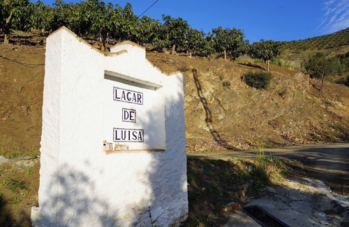 El Borge House | Casa 1/andalusian architecture in a beautiful green oasis 1 km from El Borge