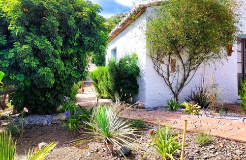 El Borge House | Casa 1/andalusian architecture in a beautiful green oasis 1 km from El Borge