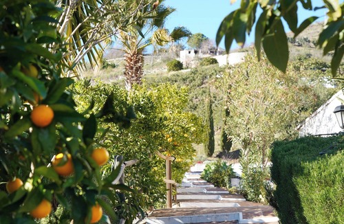 El Borge House | Casa 2/Andalusian architecture in a beautiful green oasis/1 km from El Borge