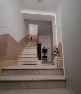 Loja House | Casa Antik
