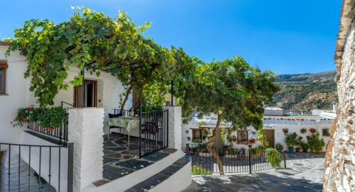 Capileira Apartment | Casa Antonia Capileira La Alpujarra