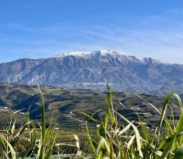 Benamocarra House | Casa Bambú Boutique Studios Andalusië with pool and Mountain Views