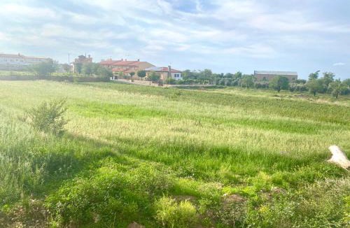 Cogollos de Guadix House | Casa Campoamor By Solymar Properties