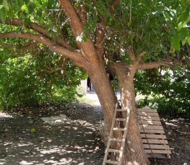 Los Nietos Viejos House | Casa cercana a la playa