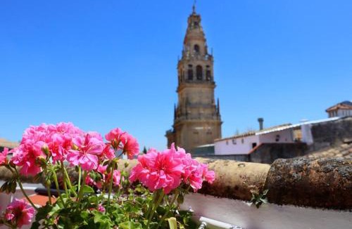Jewish Quarter House | Casa con encanto en la judería de Córdoba