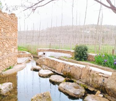 Alcudia de Guadix House | Casa Cueva The Exclusive Royal Andalusian Cave