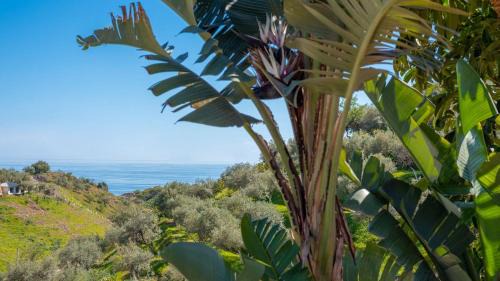 Benagalbon Villa | Casa Elena de Benagalbon Rincon de la Victoria by Ruralidays
