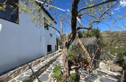 Lobras House | Casa Jardin