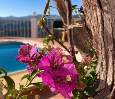 Riogordo Bed & Breakfast | Casa la Quinta