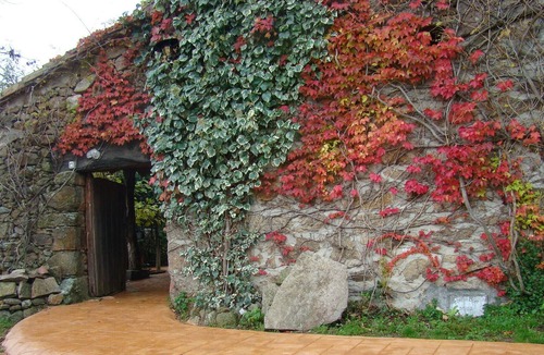 Casavieja House | Casa la Salamanquesa in the heart of the Tietar Valley.
