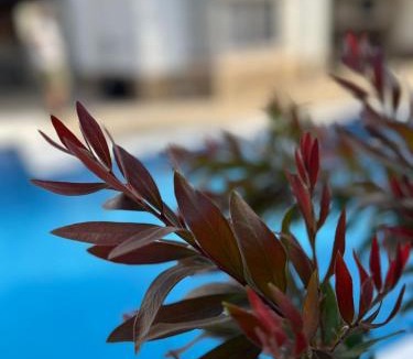 Chiclana de la Frontera Ski Chalet | Casa Manolete