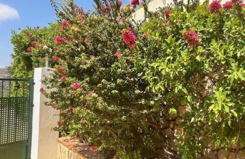 Torrox House | Casa Marlotte
