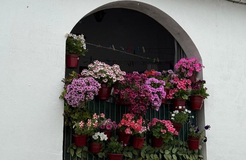 Fuenteheridos House | Casa Papiqui