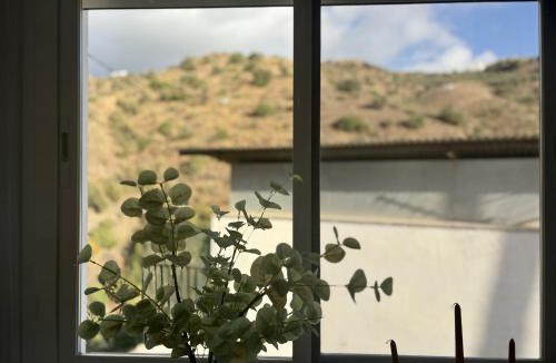 Canillas de Aceituno House | Casa Rosa By Solymar Properties