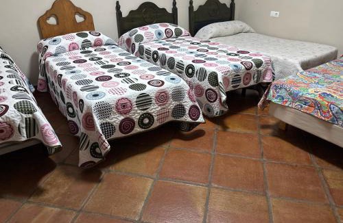 Los Palacios y Villafranca House | Casa rural la noria