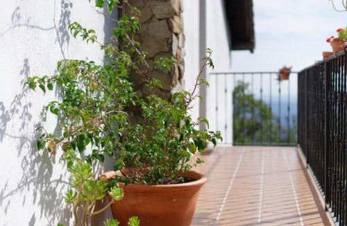 Arenas de San Pedro House | Casa Rural Arbillas
