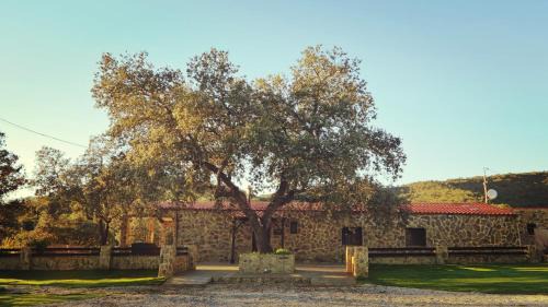 Llerena House | Casa Rural con skatepark y piscina " La Quijada del Lobo "