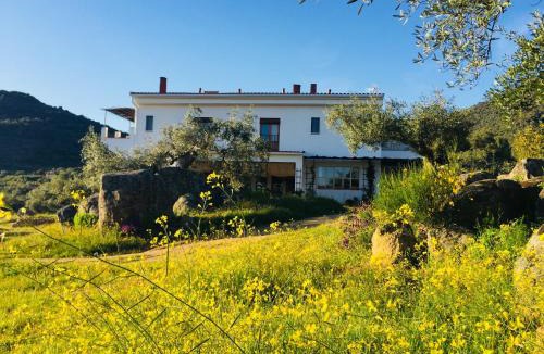 Almoharin House | Casa Rural Finca Flores Amarillas