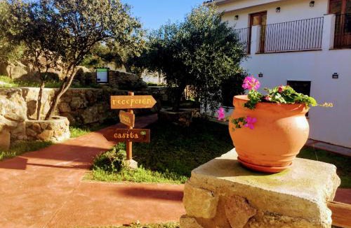 Almoharin House | Casa Rural Finca Flores Amarillas