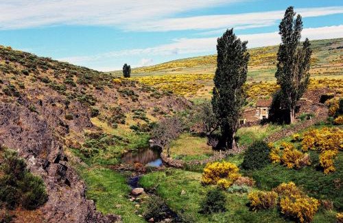 Navarredonda de Gredos House | Casa Rural La Vereilla