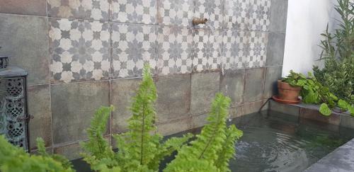 Fuente-Tojar Bed & Breakfast | Casa Rural los Danzantes