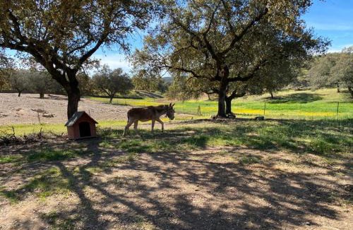 Santa Olalla del Cala Villa | Casa Rural Navalonguilla con piscina