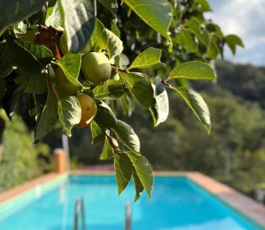 Cazalla De La Sierra Apartment | Casa Rural Orilla Del Hueznar