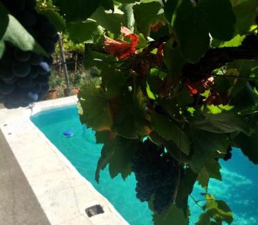 Ohanes Bed & Breakfast | Casa rural para 4 personas, 2 dormitorios y terraza sombreada - El Cortijo Escondido Adults Only , La Uva