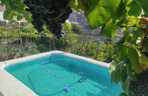 Ohanes Bed & Breakfast | Casa rural para 4 personas, 2 dormitorios y terraza sombreada - El Cortijo Escondido Adults Only , La Uva