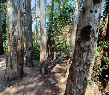 El Bosque House | CASA SENDERO DEL RIO