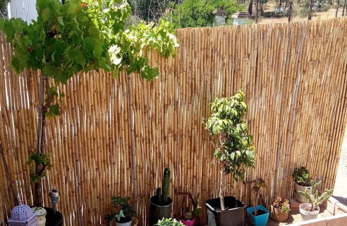 Valverde del Camino House | Casita de campo encantadora