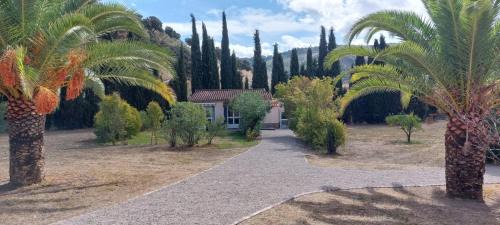 Olvera Apartment | Casita Higo