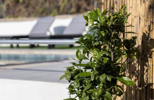 Alhaurin el Grande House | Casita Las Bandejas