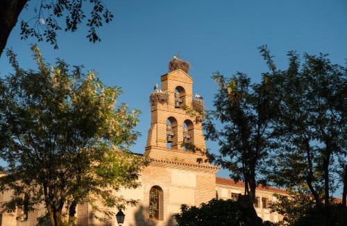 Olmedo Hotel | Castilla Termal Olmedo