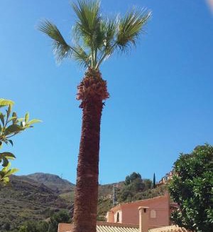 Turre House | Cedra 5, Holiday home, cosy apartment