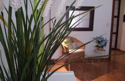Torremolinos Apartment | Central Estudio Torremolinos - Estudio 4