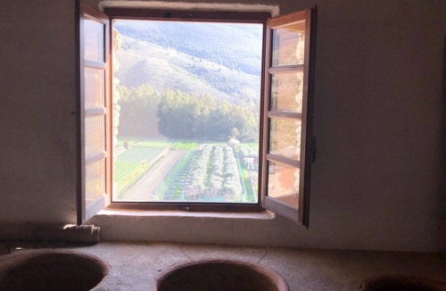 Orgiva House | Century-old olive mill has a unique style with open and light spaces