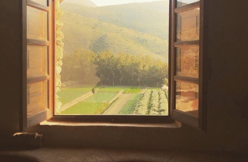 Orgiva House | Century-old olive mill has a unique style with open and light spaces