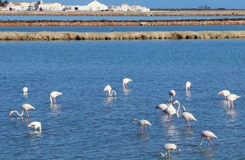 Torre-Pacheco Apartment | Charming apartment in Mar Menor ideal for your days of relax