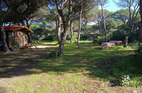 Conil de la Frontera Cabin | Charming cottage in the Pinar de Roche - Relax & Beach