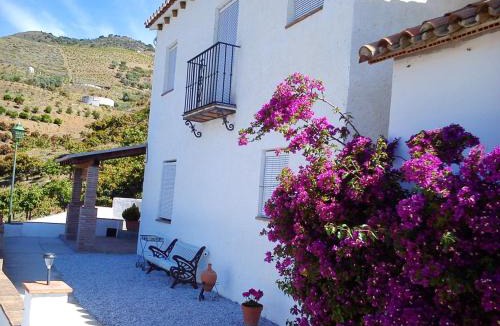 El Borge House | Charming House with Pool in El Borge