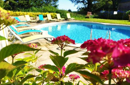 Langoelan House | Chestnut
